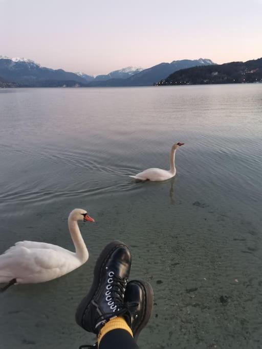 Cocon A La Campagne,Proche Annecy Apartment Alby-sur-Cheran Luaran gambar