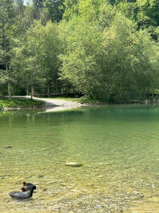 Cocon A La Campagne,Proche Annecy Apartment Alby-sur-Cheran Luaran gambar